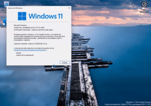 Escritorio Windows 11 1